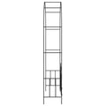 NNEVL Garden Arch with Gate Black 138x40x238 cm Iron