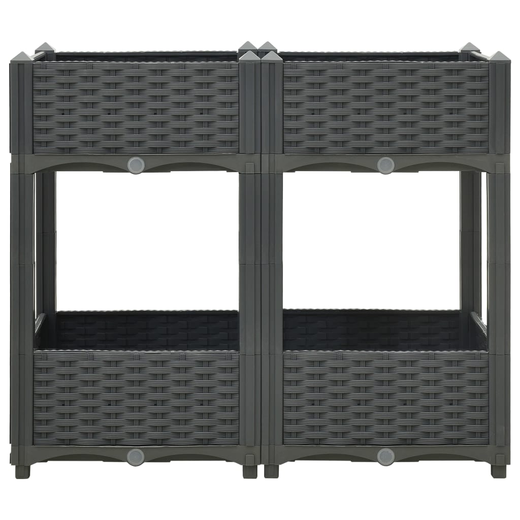 NNEVL Raised Bed 80x40x71 cm Polypropylene