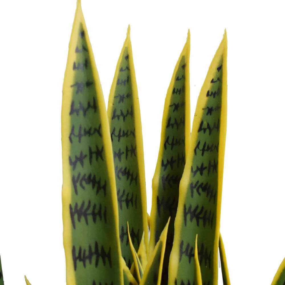 Artificial (faux) Mother in Law Tongue / Yellow Tongue Snake Plant UV Resistant 100CM
