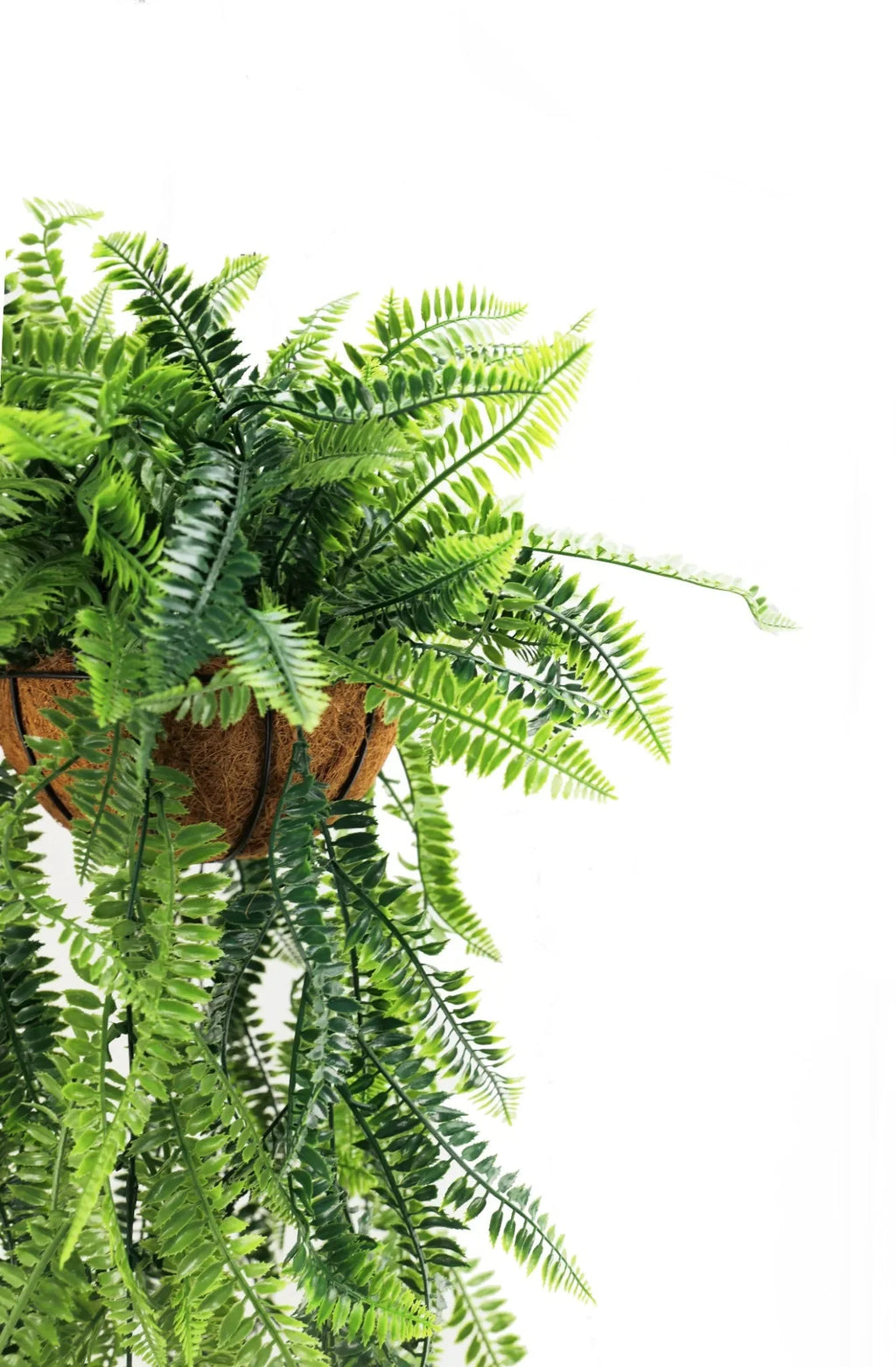 Artificial Lush Fern Hanging Basket UV Resistant (35cm x 125cm)