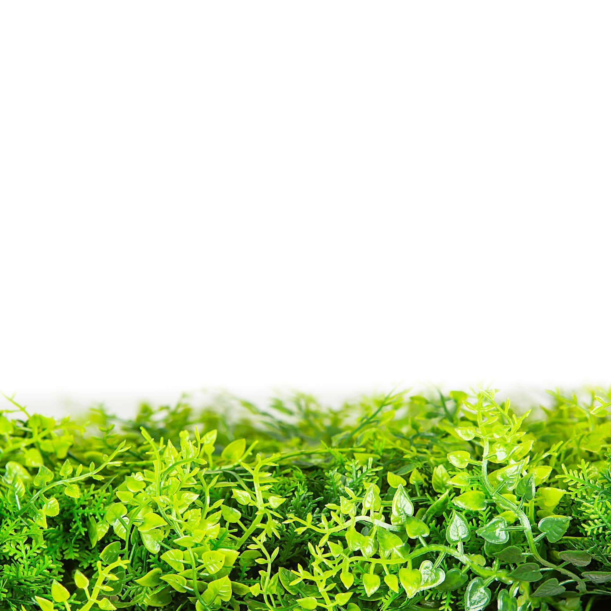 Luxury Dense Fern Vertical Garden Green Wall Panel 1m x 1m – SGS UV Resistant