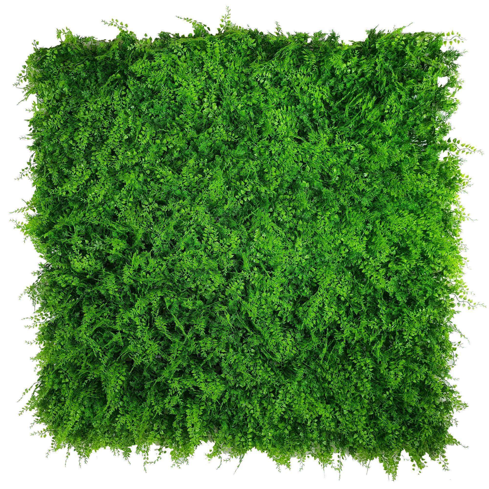 Luxury Dense Fern Vertical Garden Green Wall Panel 1m x 1m – SGS UV Resistant