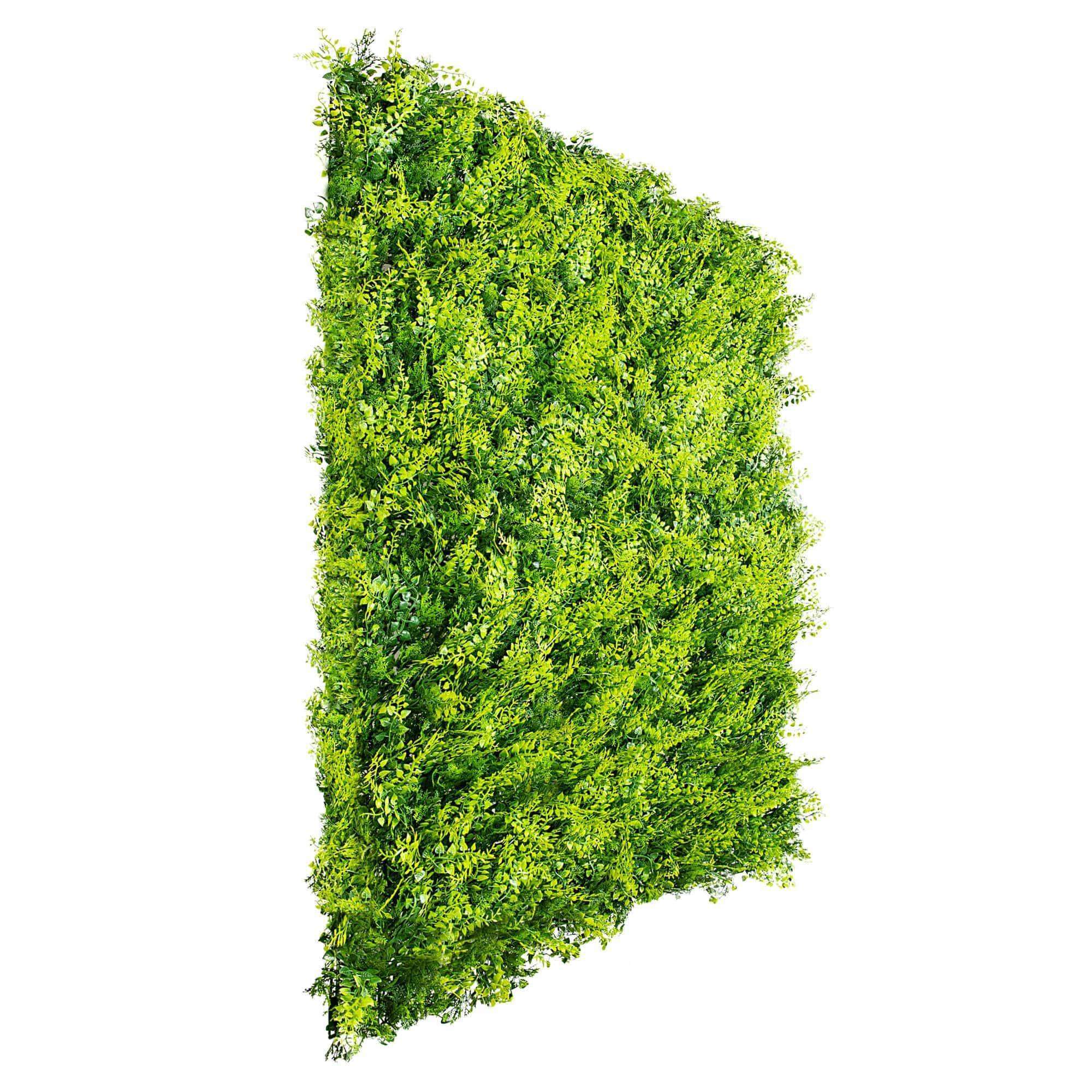 Luxury Dense Fern Vertical Garden Green Wall Panel 1m x 1m – SGS UV Resistant