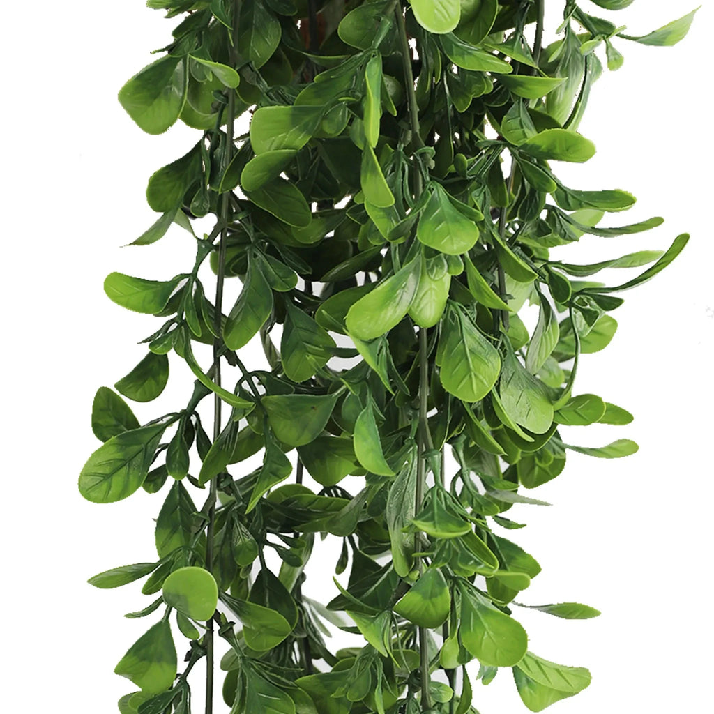 Hanging Creeping Fig Vine – UV & Fire Rated (18cm x 76cm)