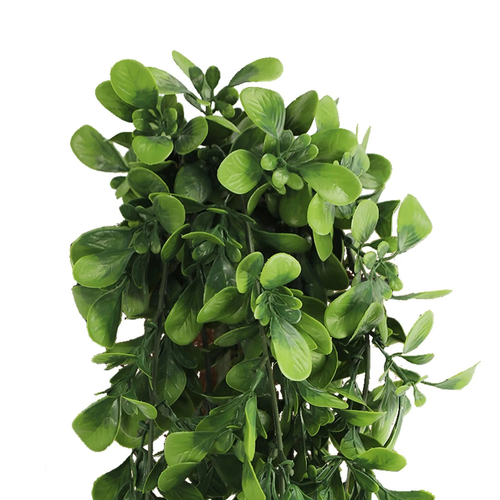Hanging Creeping Fig Vine – UV & Fire Rated (18cm x 76cm)