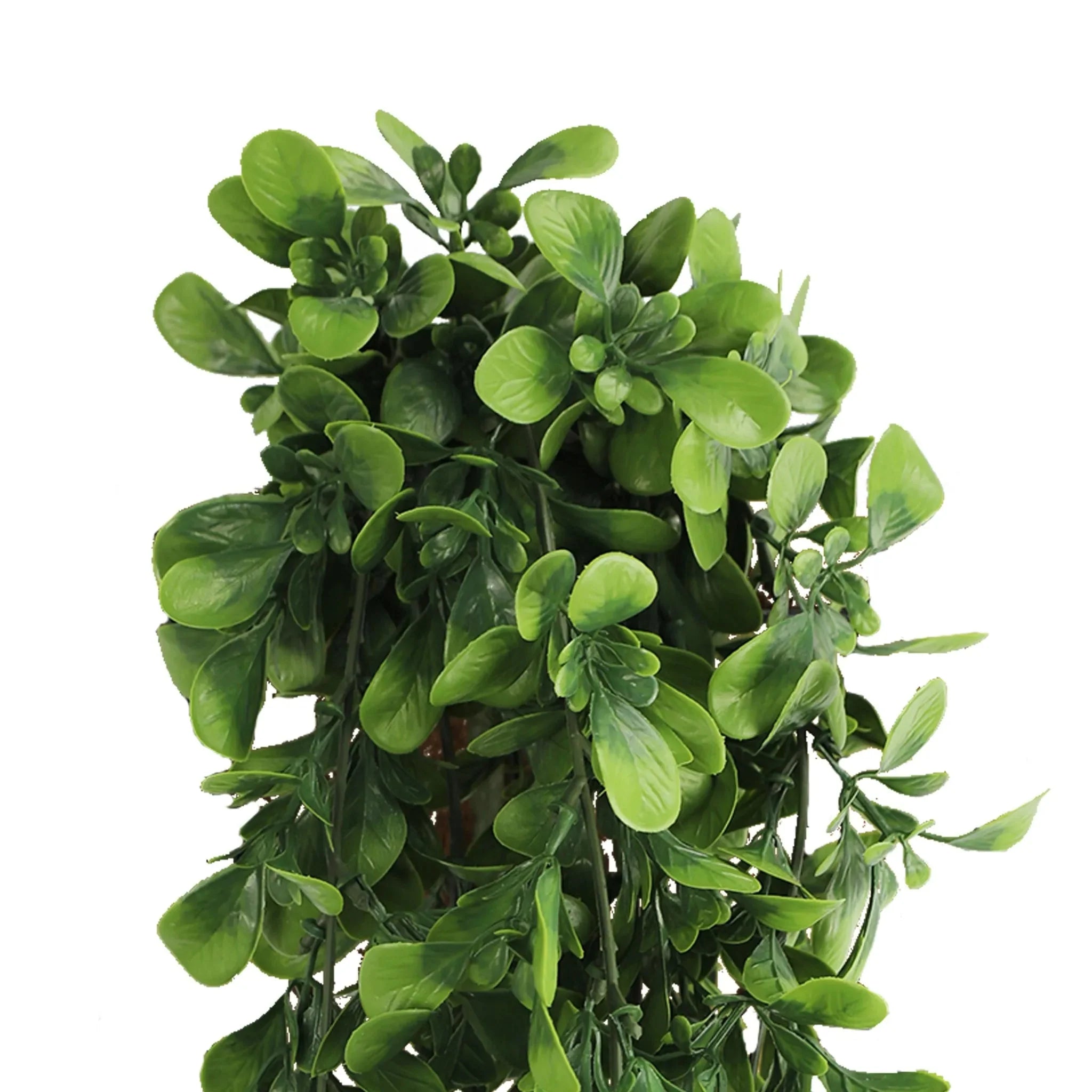 Hanging Creeping Fig Vine – UV & Fire Rated (18cm x 76cm)