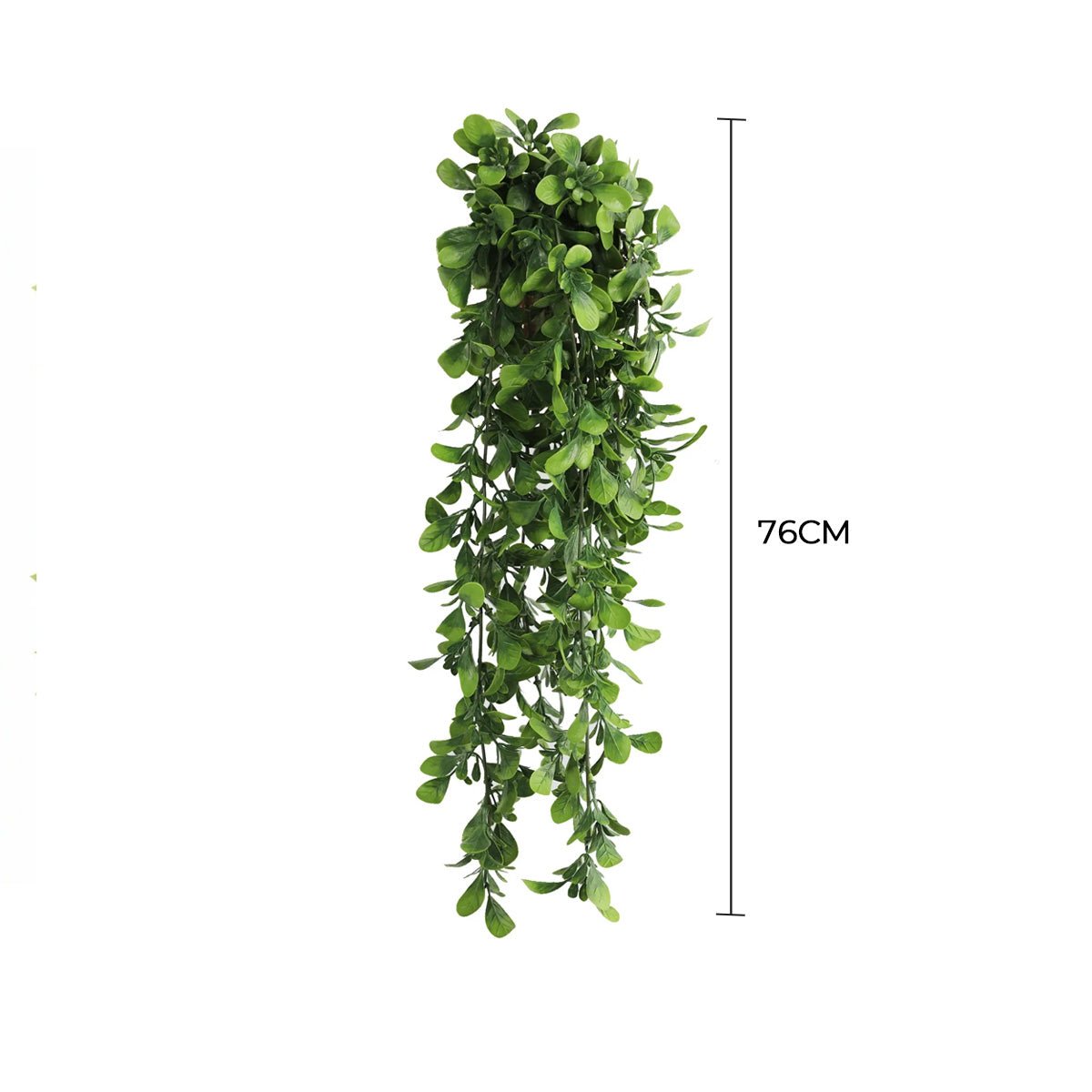 Hanging Creeping Fig Vine – UV & Fire Rated (18cm x 76cm)
