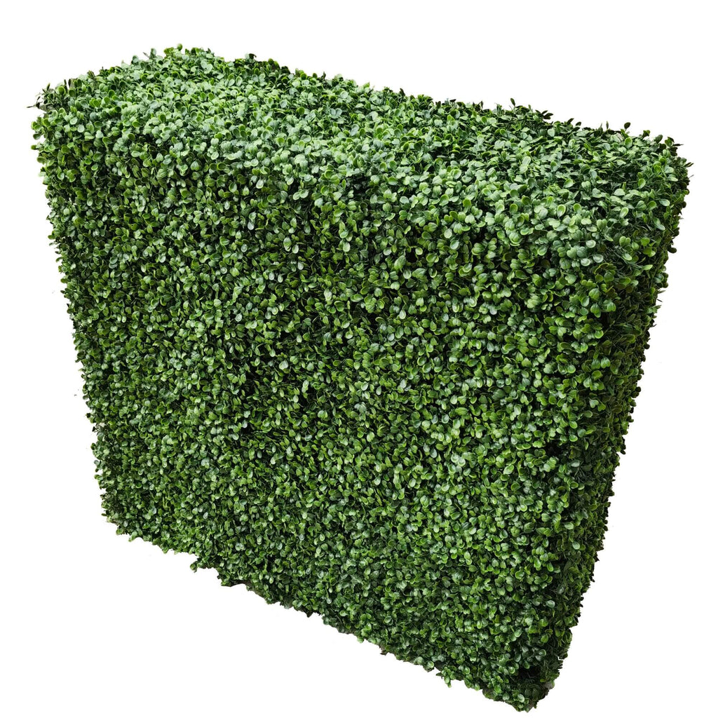 Portable Boxwood Hedge 100cm x 100cm - UVTEX Certified UV Resistant