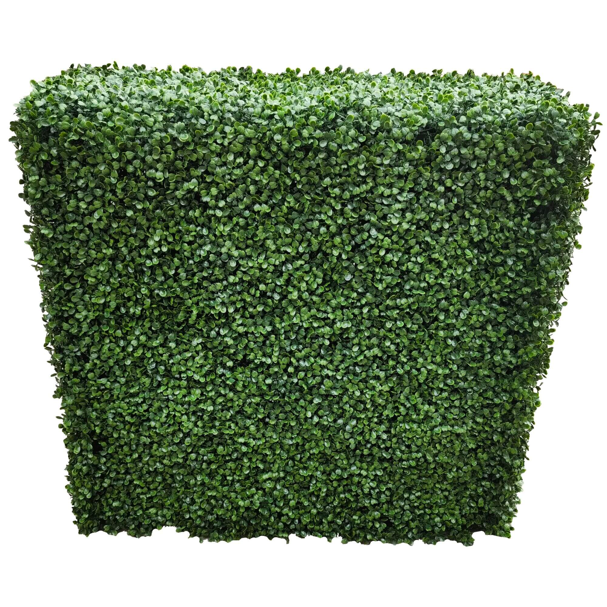 Portable Boxwood Hedge 100cm x 100cm - UVTEX Certified UV Resistant