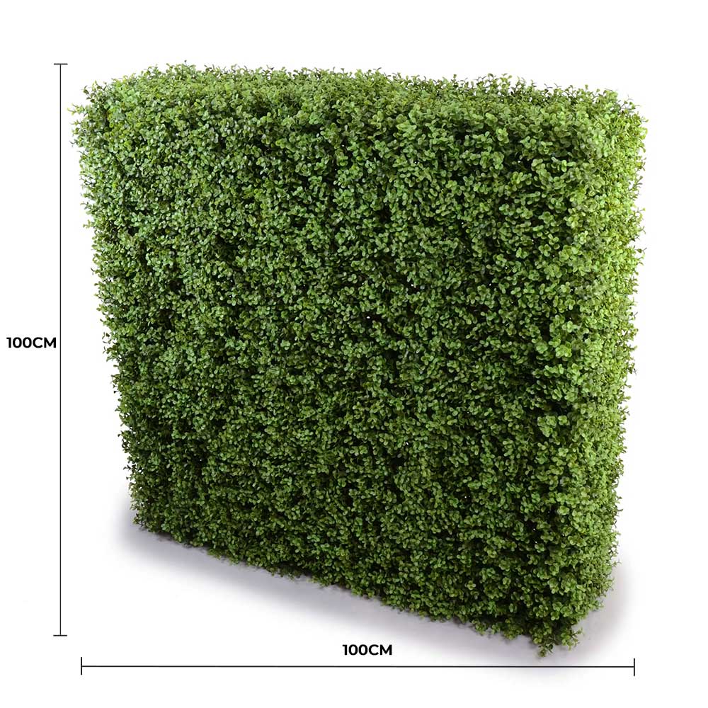 Portable Pittosporum Buxus Hedge 1m x 1m - UVTEX Certified UV Resistant