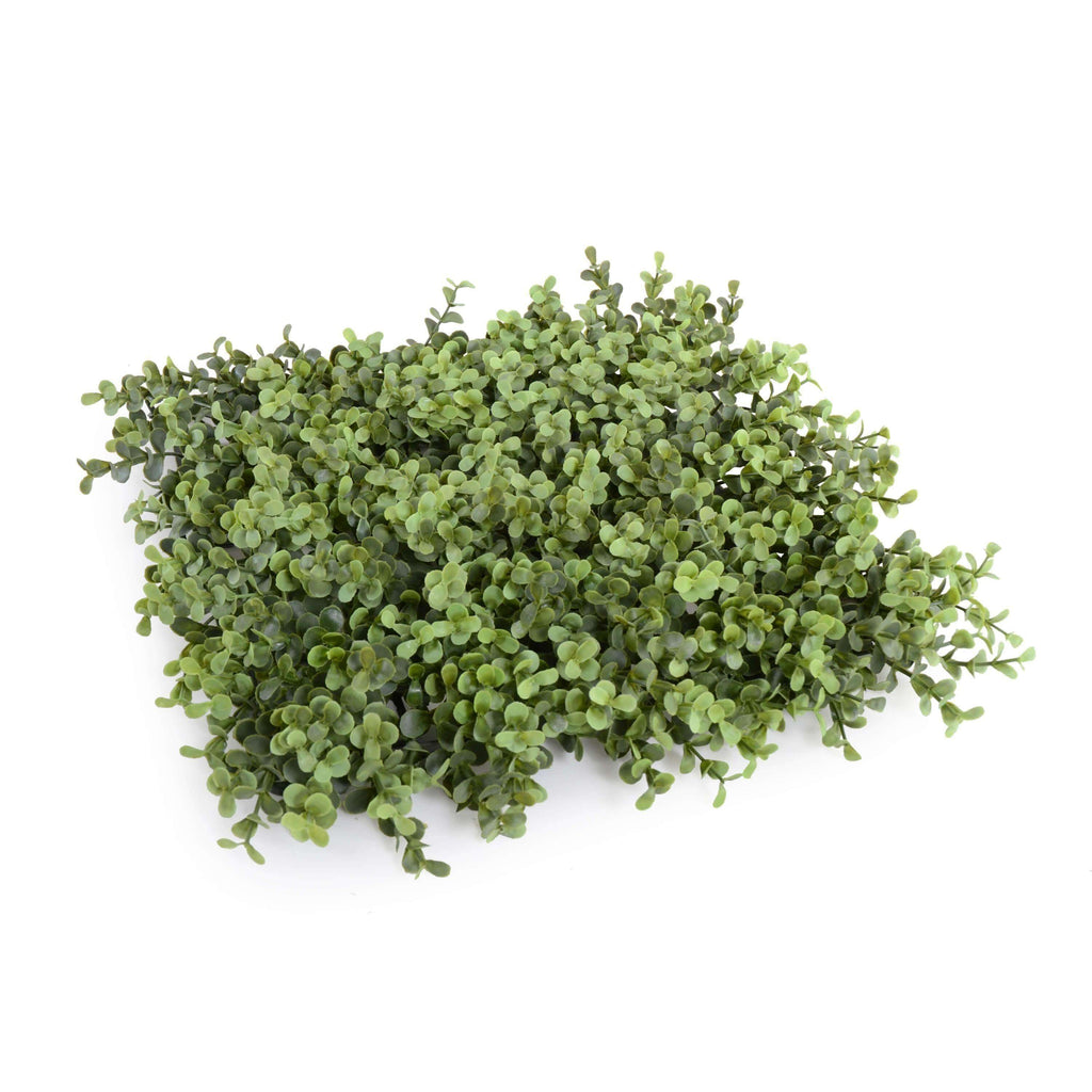 Portable Pittosporum Hedge 1.5m x 1.5m - UVTEX Certified UV Resistant